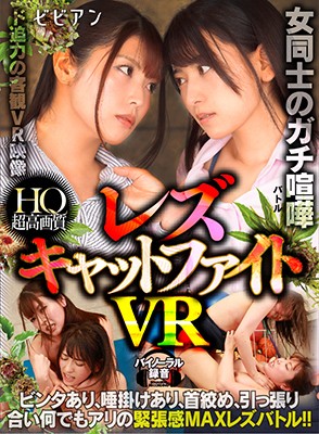 BBVR-010 パート 1 - 30 分