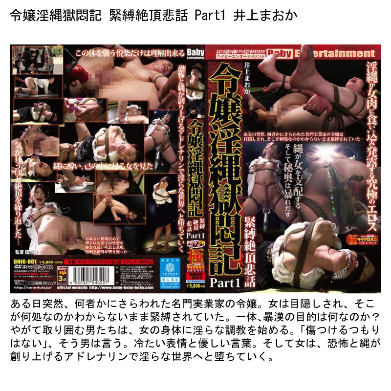 BEFKB-009 第 4 部分 - 495 分钟