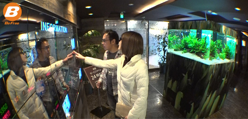 BF-638 第 1 部分 - 30 分钟