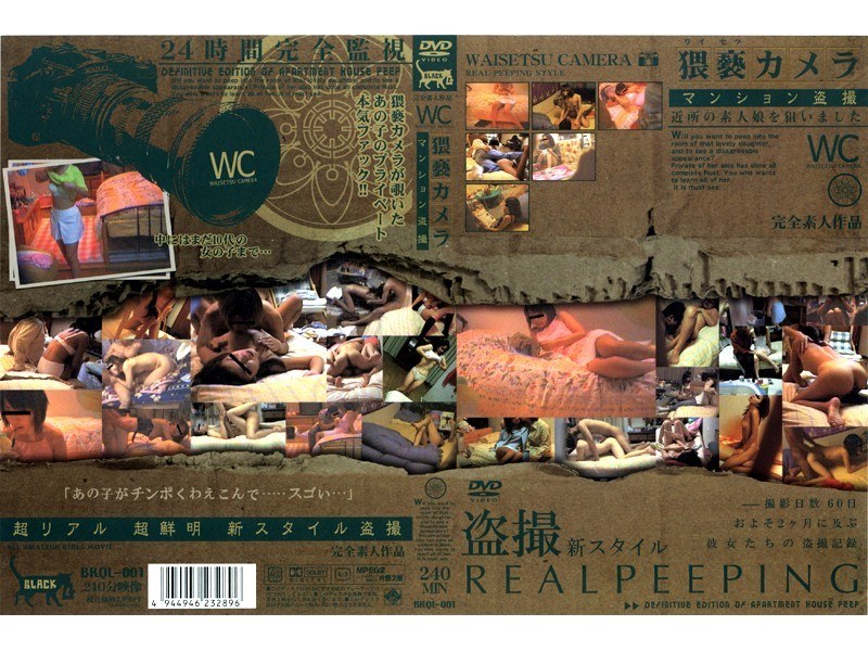 猥褻カメラ マンション盗撮