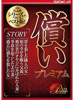 (bnsps00421)[BNSPS-421]補償保費 下載