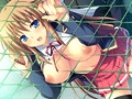 彼の為に出来ること DVD-PG EDITION （DVDPG） 画像1