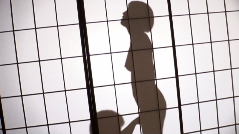 CESD-073 第 17 部分 - 158 分钟