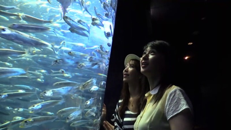 CESD-192 Bagian 19 - 948 minit