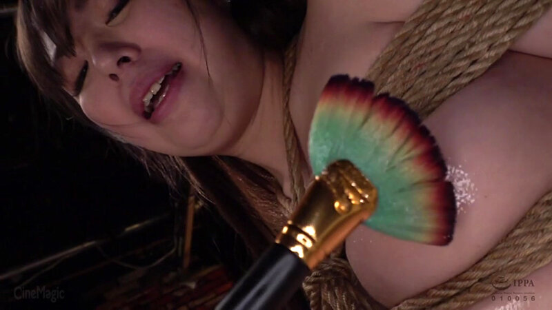 CMC-295 Part 9 - 70 minutes