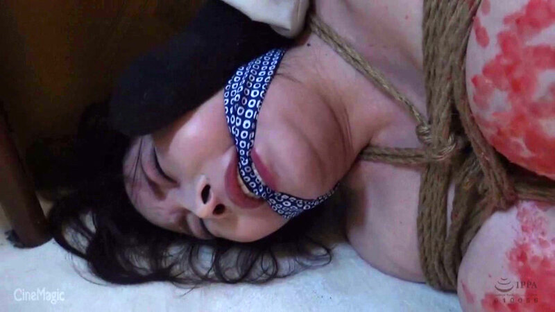 CMC-310 パート 16 - 105 分