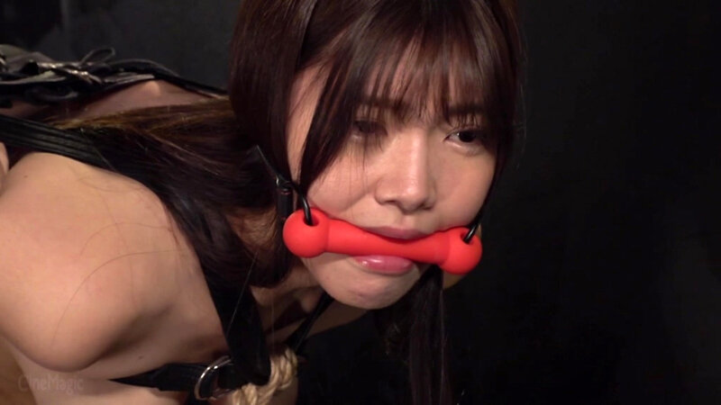 どS傲慢社長令嬢 奈落の美肉奴破壊 美木ひなの サンプル