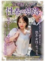 熟年婦人の性春の旅路3