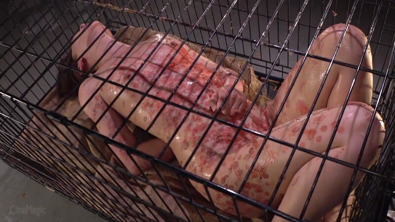 CMV-193 Part 5 - 54 minutes