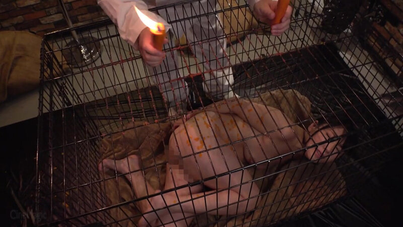 牝檻収監 肛交肉便器マゾ犬狩り ゆうきすず のサンプル画像 2