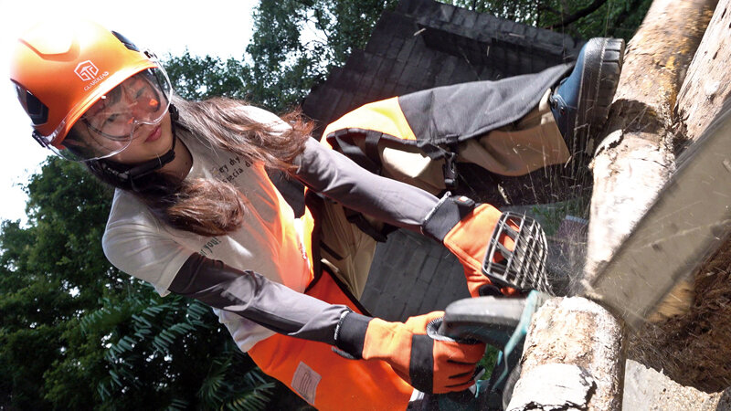 COGM-091 第 1 部分 - 30 分钟