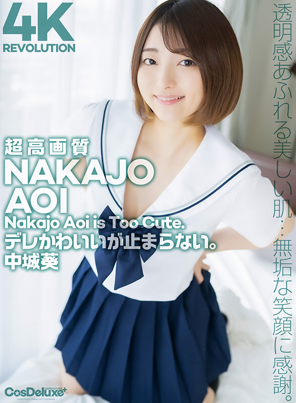 CSPL-016 パート 1 - 30 分