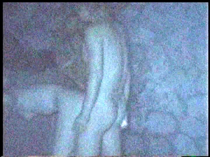 CSZ-008 パート 3 - 40 分