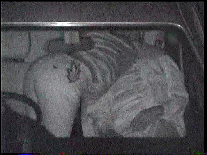 CSZ-018 Bagian 11 - 110 minit