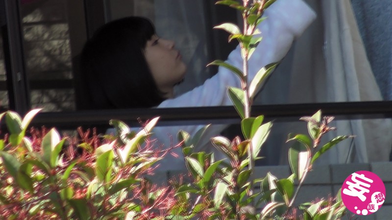 DAMS-001 パート 1 - 30 分