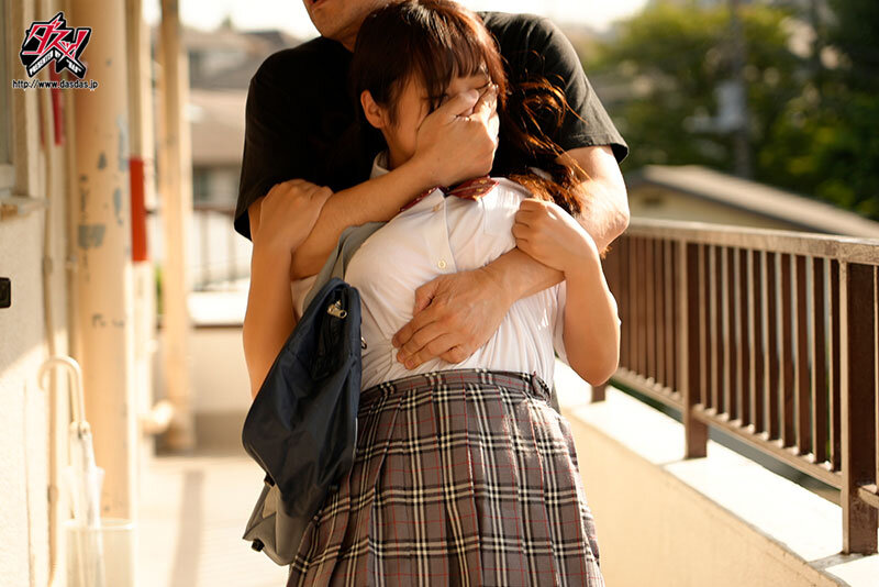 DASS-300 第 1 部分 - 30 分钟