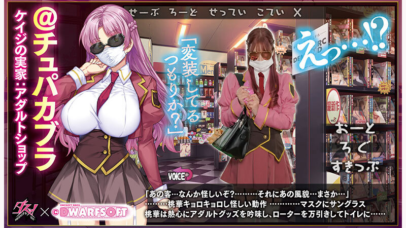 MカップむっつりドMお嬢様 御堂前桃華のラブラブ変態調教アルバム 実写版 美園和花 画像2
