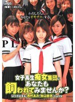 (cnh004)[CNH-004]女子校生痴女集団にあなたも飼われてみませんか？ ダウンロード