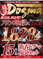 【福袋】絶頂後、即追撃！！アクメ地獄に堕とされ続けた美女達。15作品1828分。新春ドグマ福袋セット