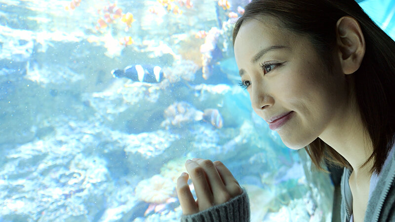 DGCEMD-560 Part 1 - 30 minutes