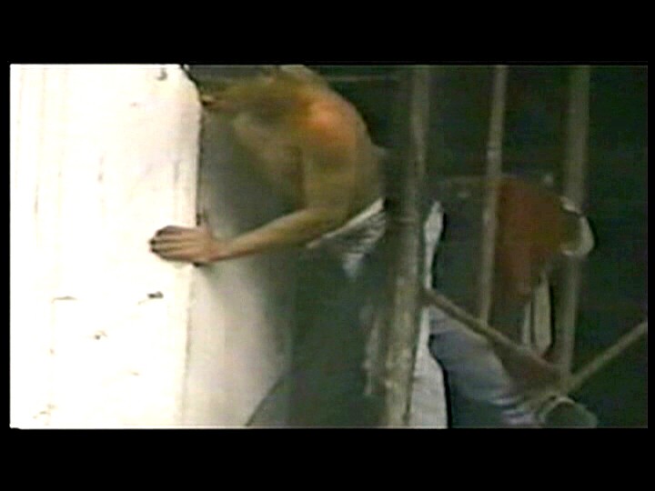 DOGU-037 Part 11 - 70 minutes