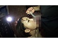 サンプル画像