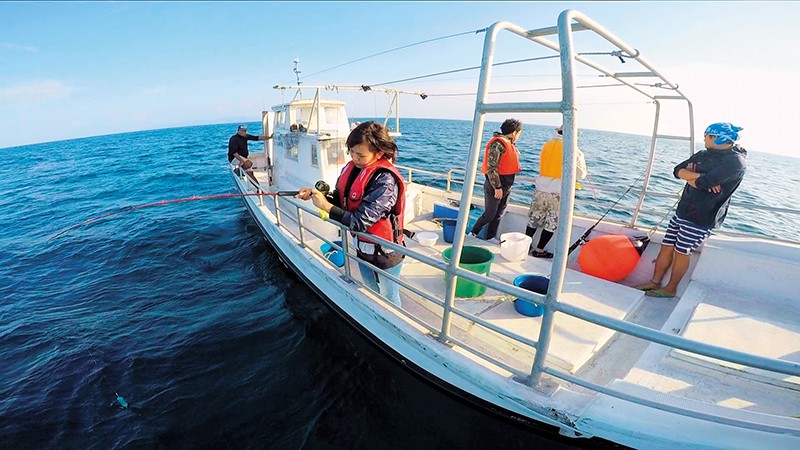 DVAJ-226 第 12 部分 - 107 分钟