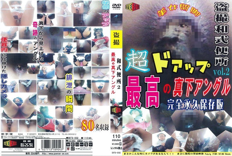 盗撮和式便所 超ドアップ！！ 最高の真下アングル！！ Vol.2 ～完全永久保存版～