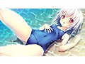 サンプル画像5