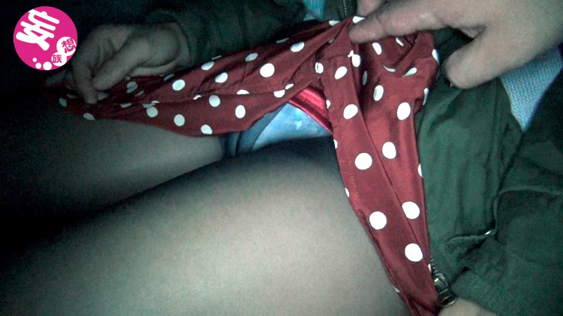 EVIS-101 第 4 部分 - 66 分钟