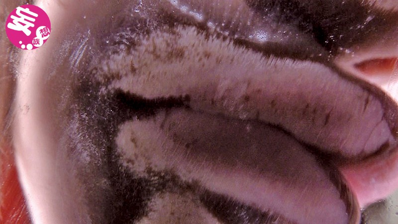 EVIS-165 パート 1 - 30 分