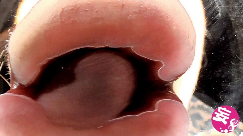 EVIS-165 第 8 部分 - 114 分钟