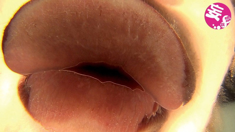 EVIS-171 パート 1 - 30 分