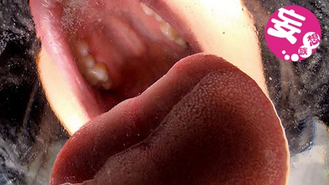 EVIS-177 Part 4 - 66 minutes