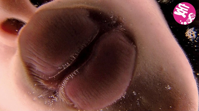 EVIS-244 Part 7 - 114 minutes