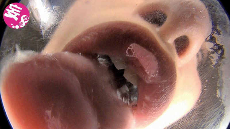 EVIS-249 Bagian 6 - 95 minit