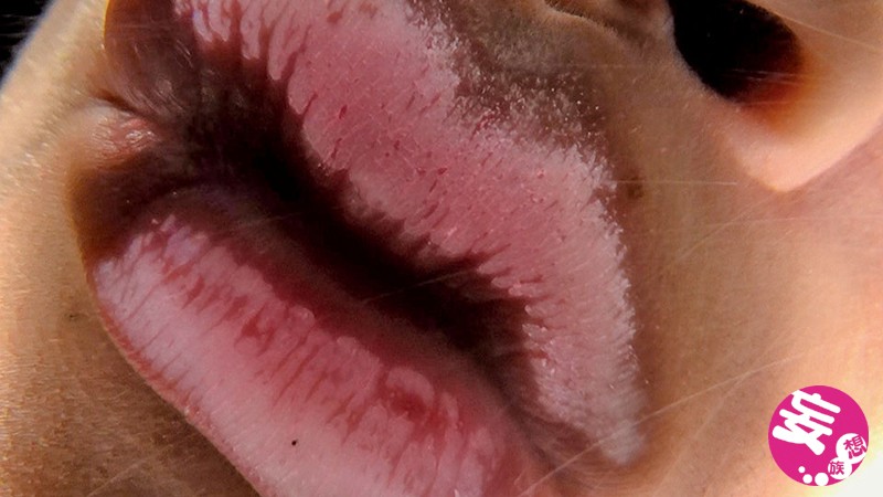 EVIS-249 Bagian 7 - 108 minit