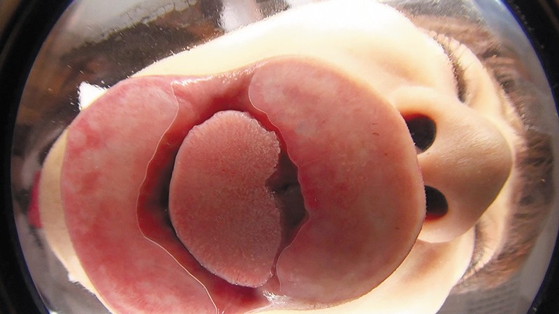 EVIS-318 第 3 部分 - 52 分钟