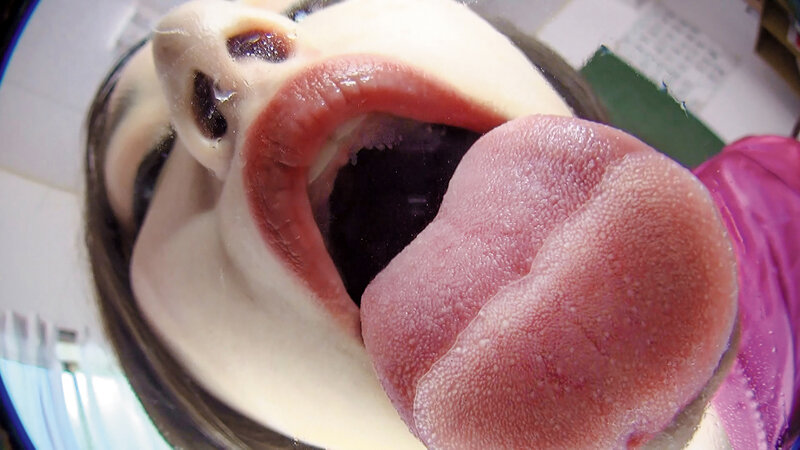 EVIS-450 Bagian 13 - 102 minit