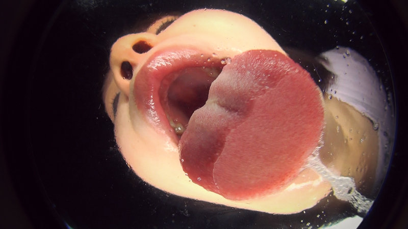 EVIS-464 第 6 部分 - 60 分钟