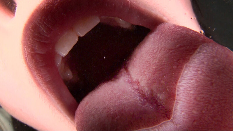 EVIS-490 Bagian 15 - 114 minit