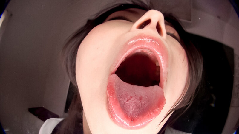 EVIS-511 第 1 部分 - 30 分钟