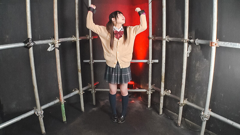 EVIS-552 Part 3 - 42 minutes