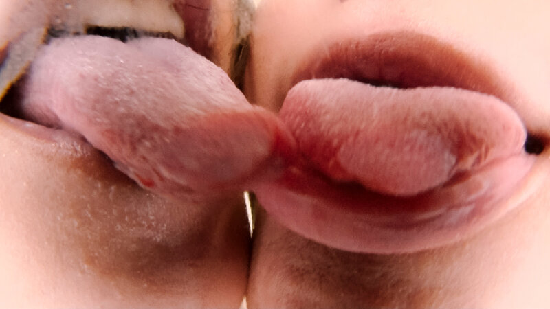 EVIS-575 Part 3 - 40 minutes