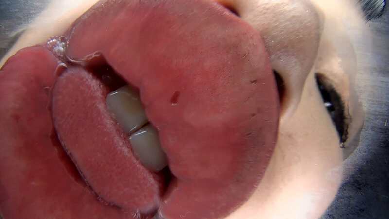 EVIS-607 Bagian 7 - 66 minit