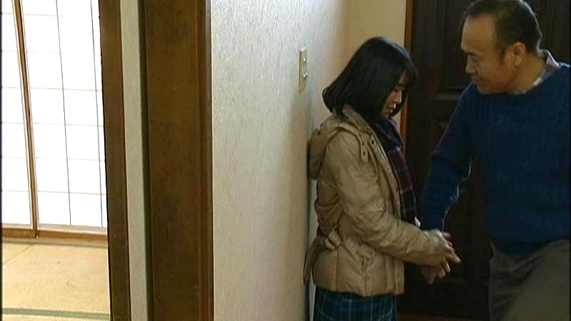 FAX-530 パート 1 - 30 分