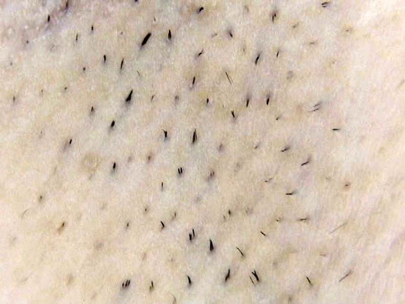 GAT-011 パート 14 - 186 分