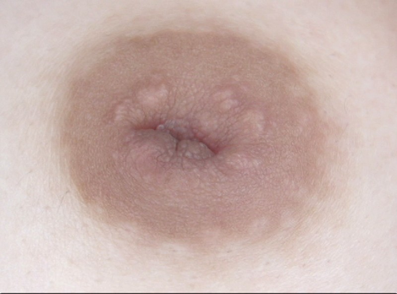 GAT-017 パート 13 - 174 分