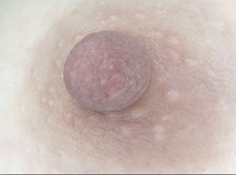 GAT-017 パート 17 - 222 分