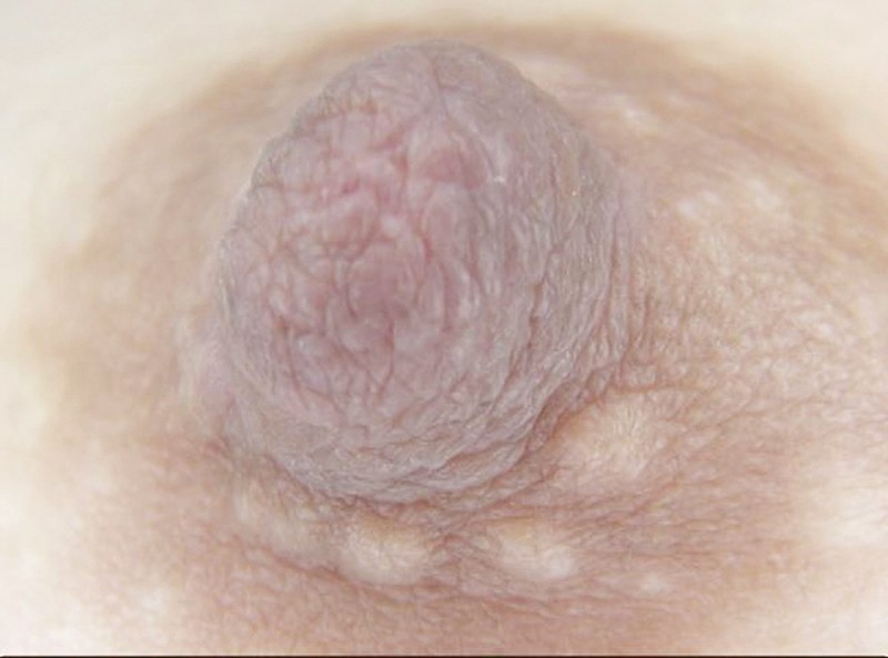 GAT-017 パート 4 - 66 分